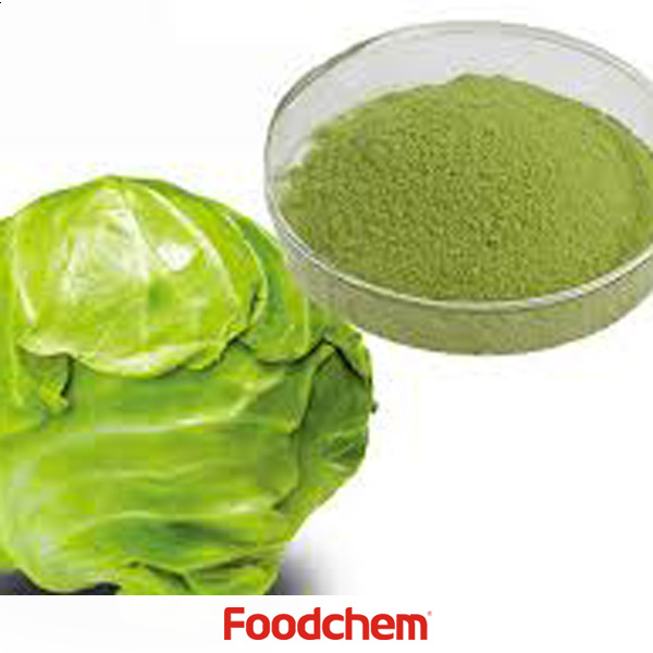 Cabbage Powder suppliers